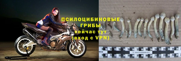 хмурый Белоозёрский