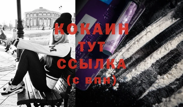 мет Бородино