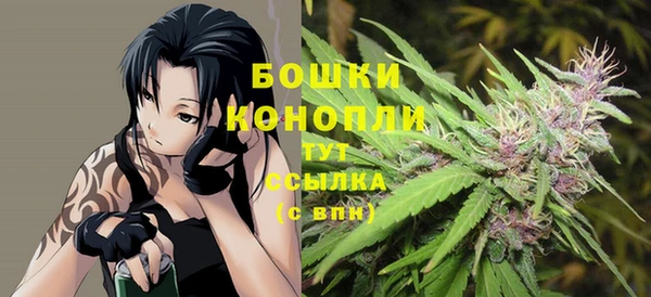 крисы Бронницы