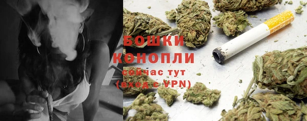 мет Бородино
