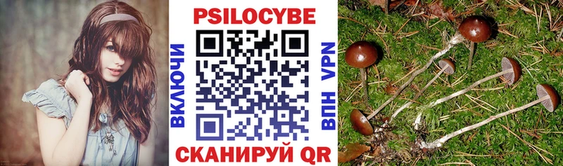 Галлюциногенные грибы Psilocybine cubensis  купить наркотик  Дигора 